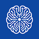 Smart Tes IQ Icon